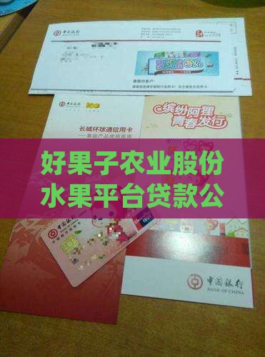 好果子贷款总公司在哪里