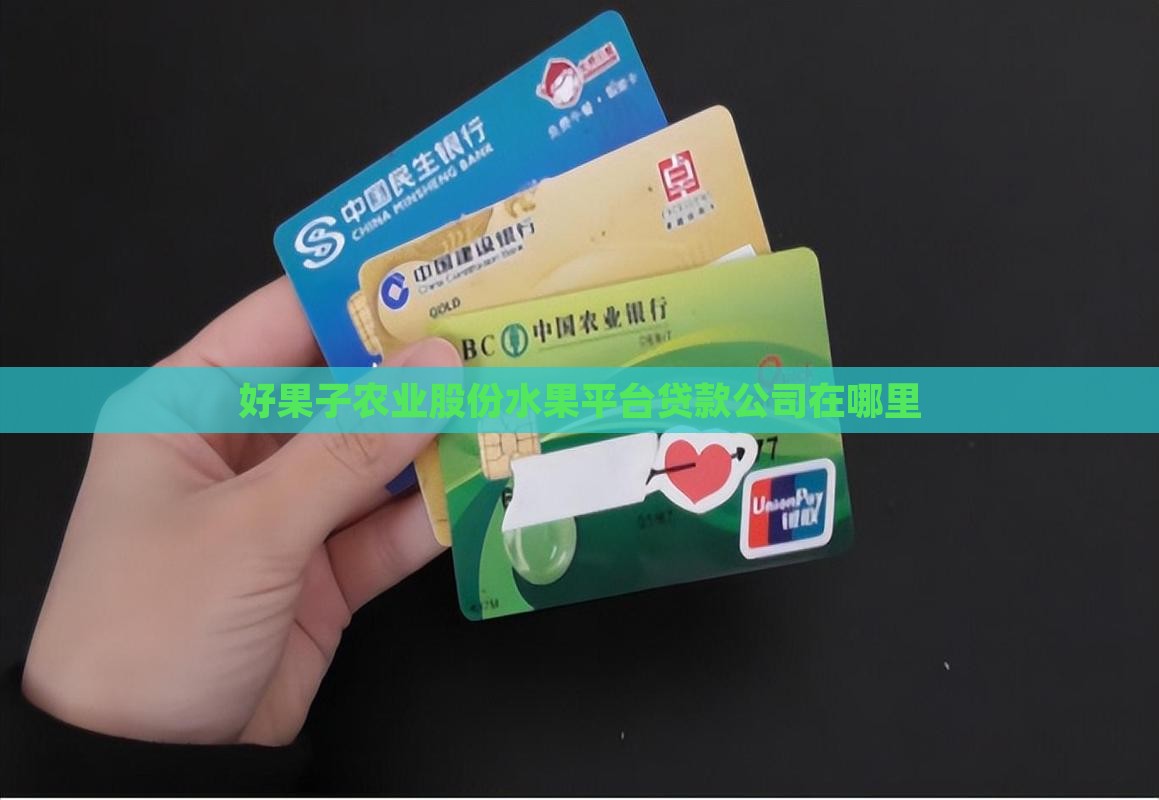 好果子贷款总公司在哪里