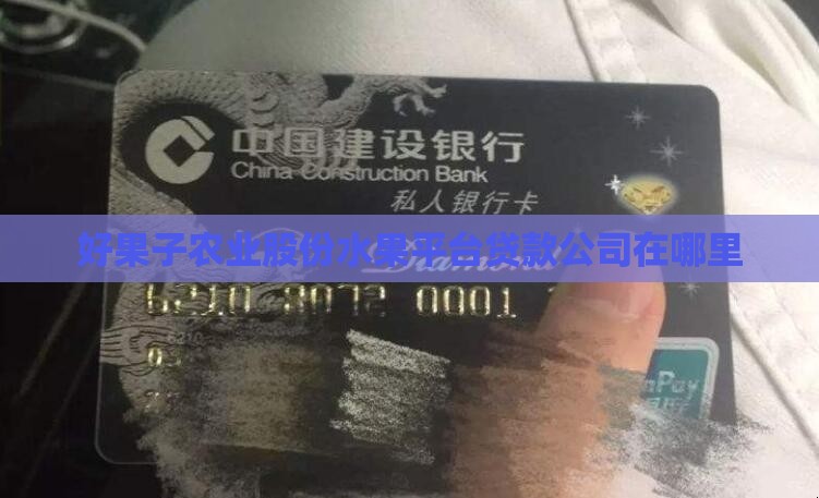 好果子贷款总公司在哪里