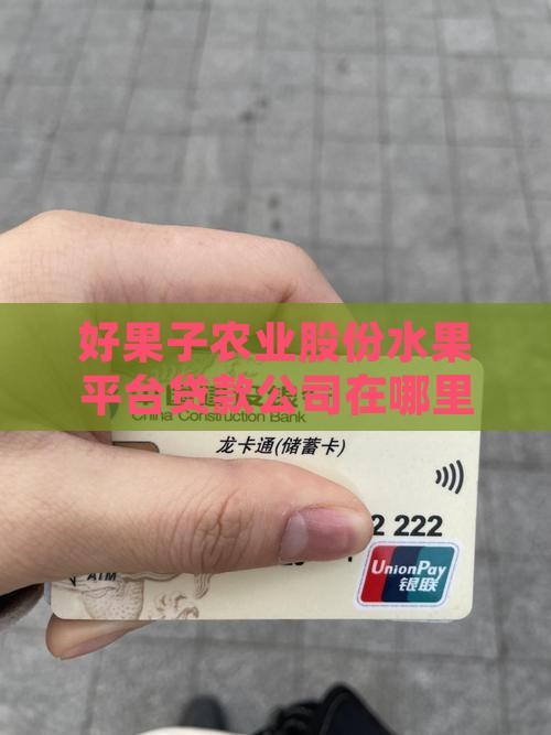 好果子贷款总公司在哪里