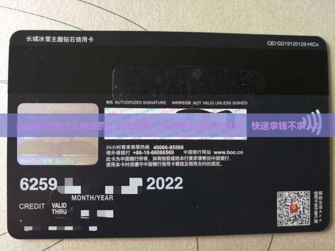 小额贷款用什么申请的