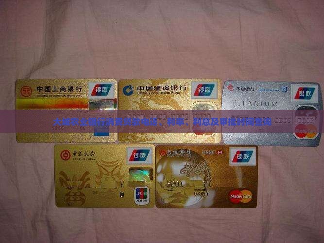 大城农业银行消费贷款