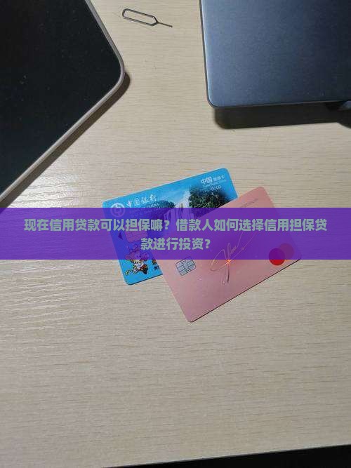 信用贷款可以担保嘛现在