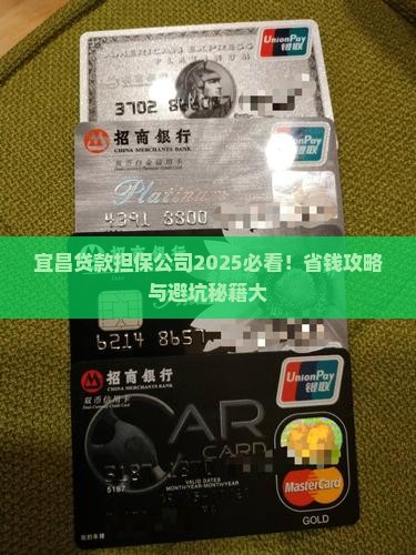 宜昌贷款担保公司