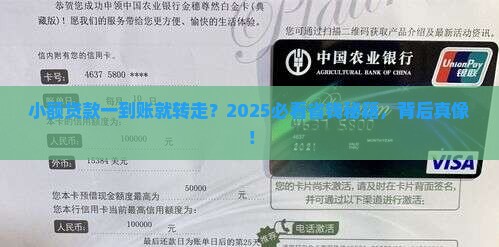 小额贷款一到账就转走