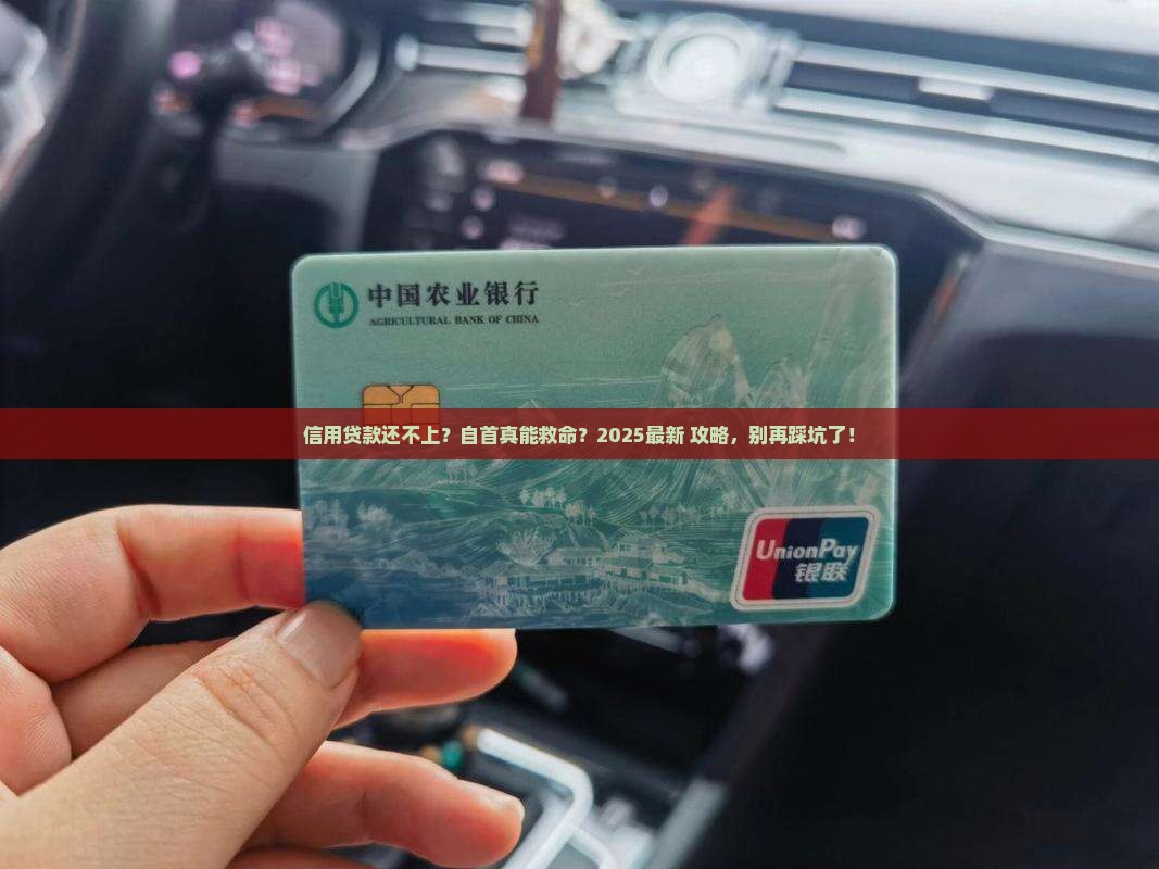 信用贷款还不出自首