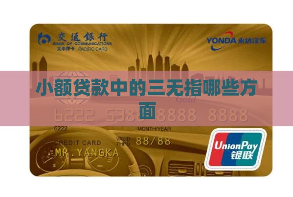 小额贷款中的三无指哪些方面