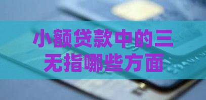 小额贷款中的三无指哪些方面