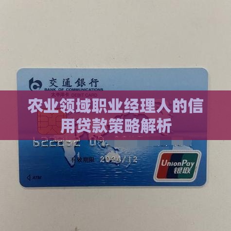 农业领域职业经理人的信用贷款策略解析