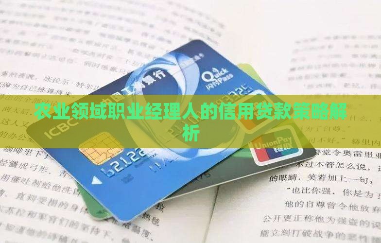 农业领域职业经理人的信用贷款策略解析
