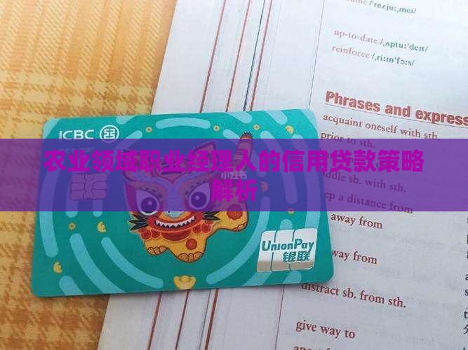 农业领域职业经理人的信用贷款策略解析