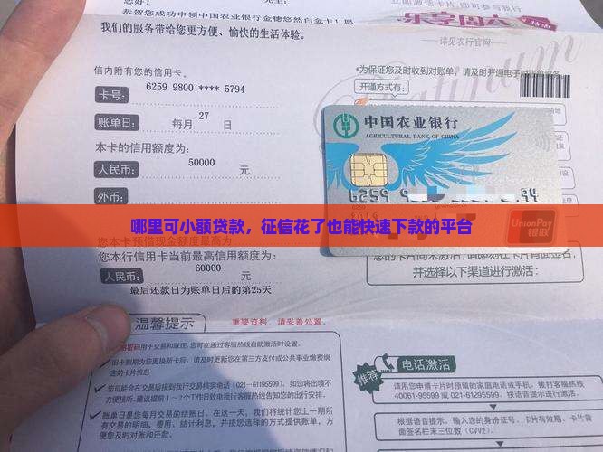 哪里可小额贷款，征信花了也能快速下款的平台
