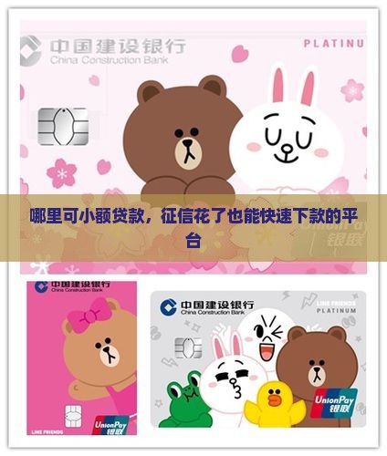 哪里可小额贷款，征信花了也能快速下款的平台