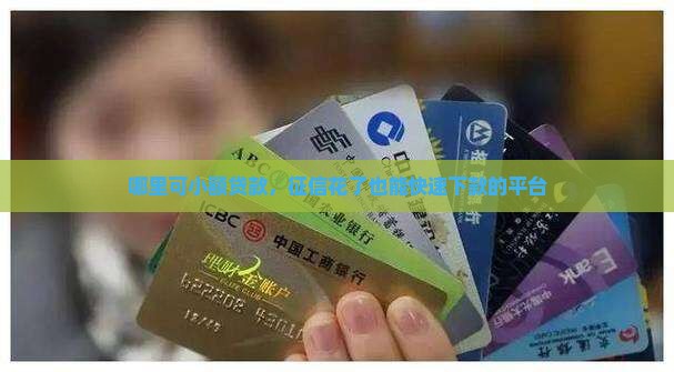 哪里可小额贷款，征信花了也能快速下款的平台