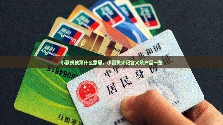 小额贷款菜什么意思，小额贷来记含义及产品一览