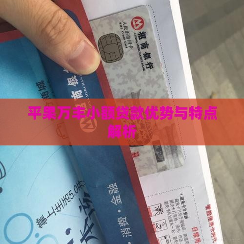 平果万丰小额贷款优势与特点解析
