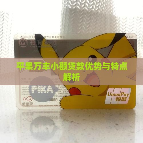 平果万丰小额贷款优势与特点解析