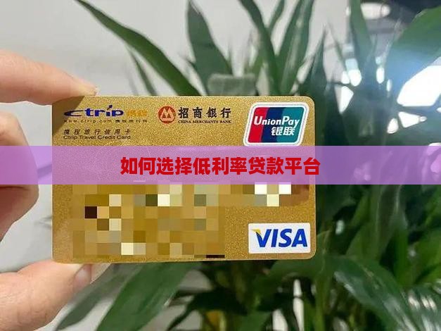如何选择低利率贷款平台