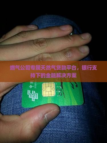 燃气公司专属天然气贷款平台，银行支持下的金融解决方案