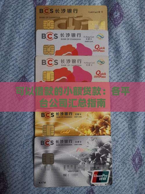 可以借款的小额贷款：各平台公司汇总指南