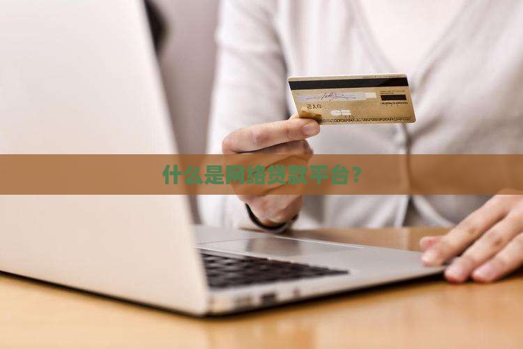什么是网络贷款平台？