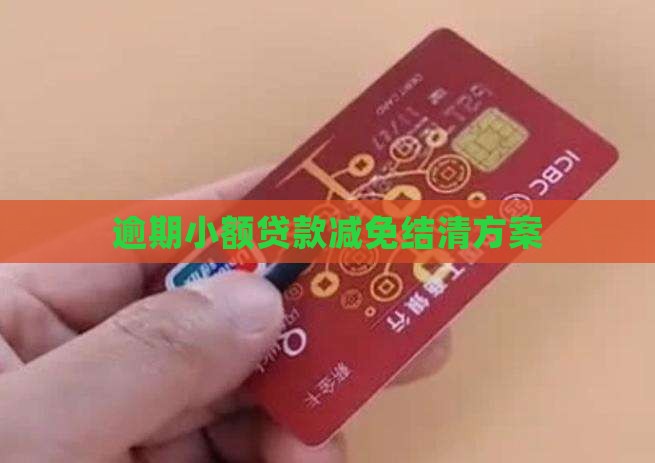 逾期小额贷款减免结清方案