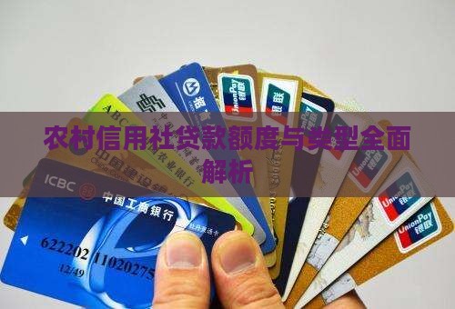 农村信用社贷款额度与类型全面解析