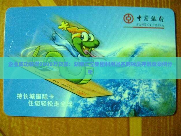 企业成功获得2000万贷款：湖南三立集团利用驰名商标质押融资案例分析