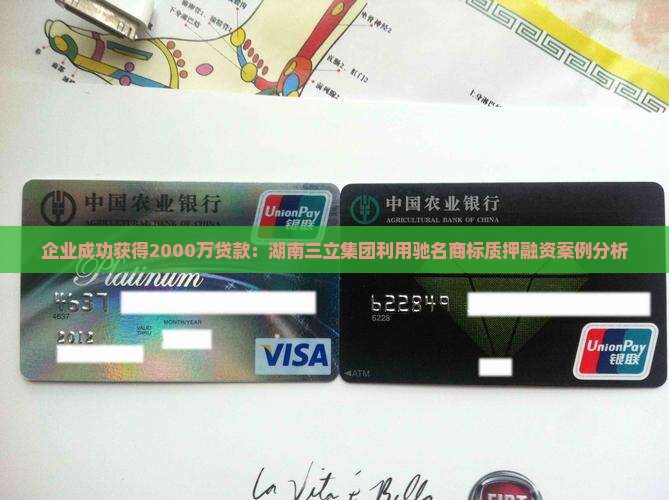 企业成功获得2000万贷款：湖南三立集团利用驰名商标质押融资案例分析