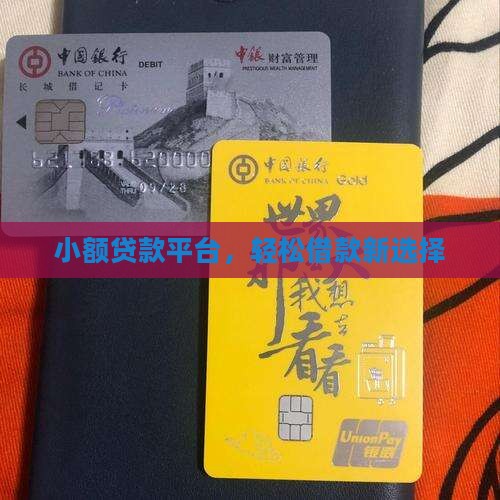 小额贷款平台，轻松借款新选择