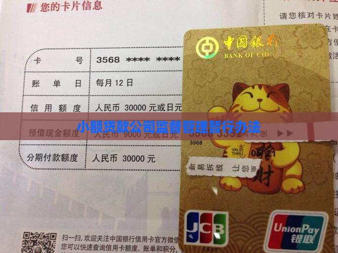 小额贷款公司监督管理暂行办法
