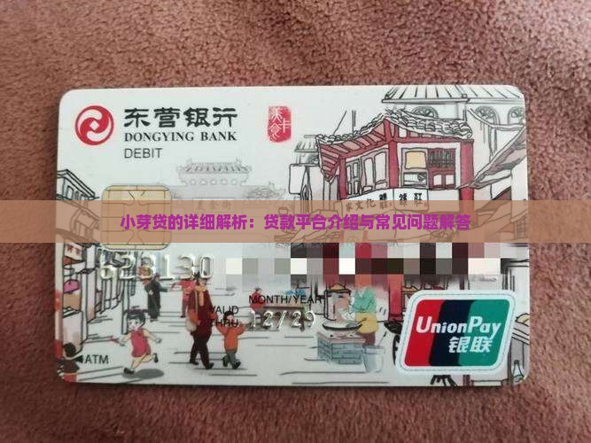 小芽贷的详细解析：贷款平台介绍与常见问题解答