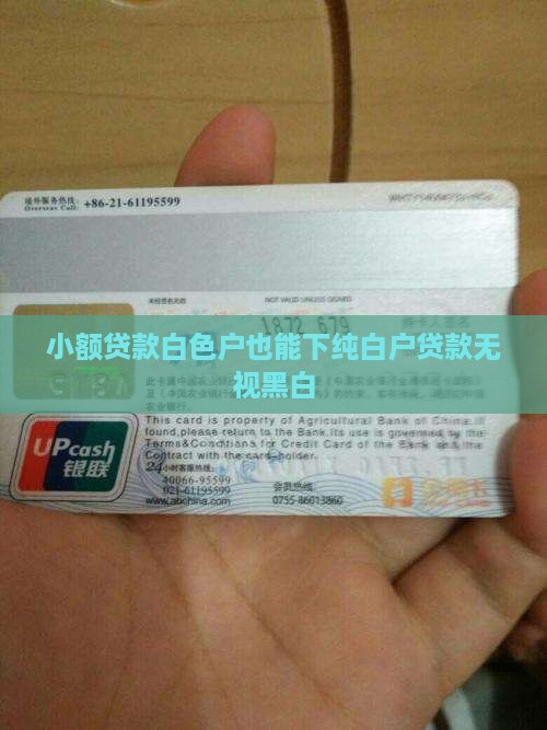 小额贷款白色户也能下纯白户贷款无视黑白