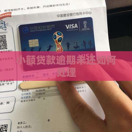 小额贷款逾期未还如何处理