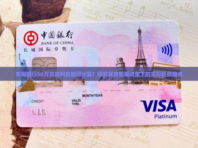 东海银行30万贷款利息如何计算？探究房贷利率调整下的实际还款痛点