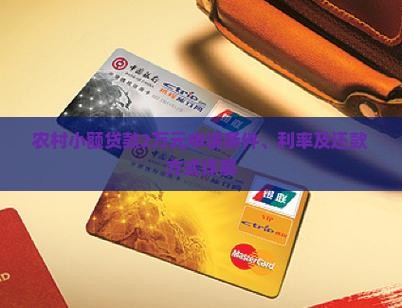 农村小额贷款2万元申请条件、利率及还款方式详解