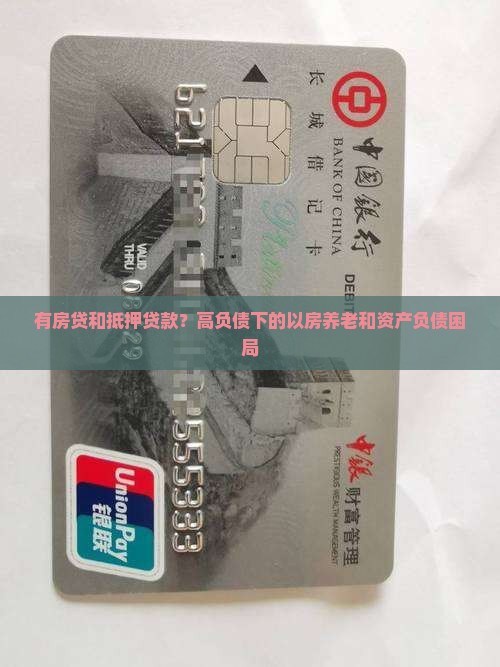 有房贷和抵押贷款？高负债下的以房养老和资产负债困局