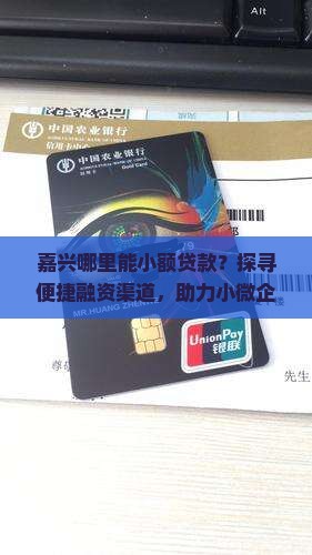 嘉兴哪里能小额贷款？探寻便捷融资渠道，助力小微企业发展