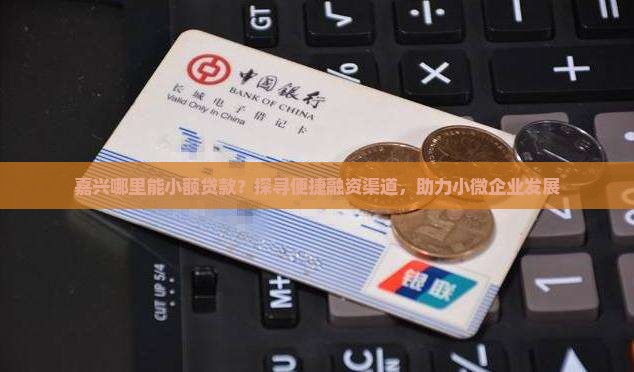 嘉兴哪里能小额贷款？探寻便捷融资渠道，助力小微企业发展
