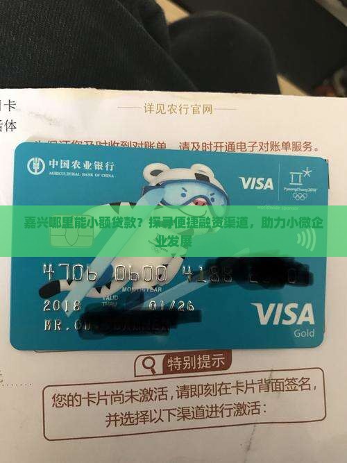 嘉兴哪里能小额贷款？探寻便捷融资渠道，助力小微企业发展
