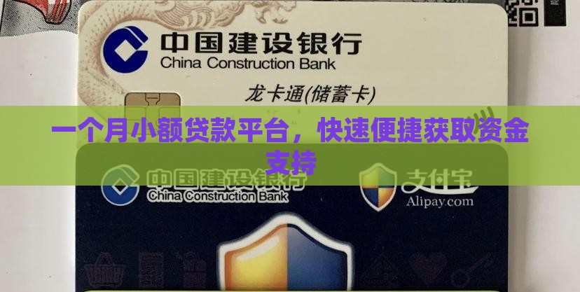 一个月小额贷款平台，快速便捷获取资金支持