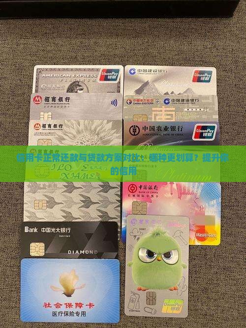 信用卡正常还款与贷款方案对比：哪种更划算？提升你的信用