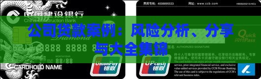 公司贷款案例：风险分析、分享与大全集锦
