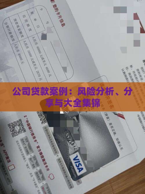 公司贷款案例：风险分析、分享与大全集锦