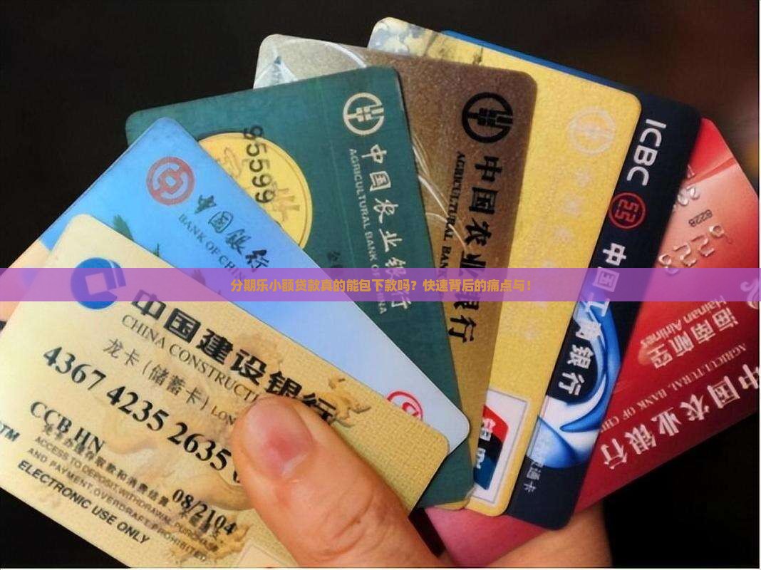 分期乐小额贷款真的能包下款吗？快速背后的痛点与！