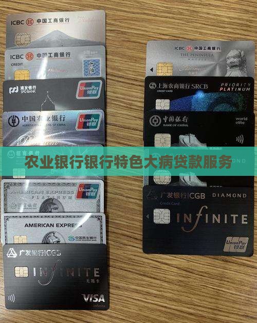 农业银行银行特色大病贷款服务