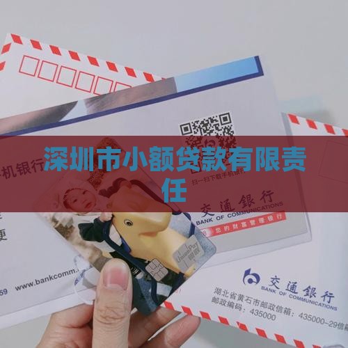 深圳市小额贷款有限责任