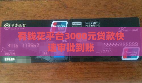 有钱花平台3000元贷款快速审批到账