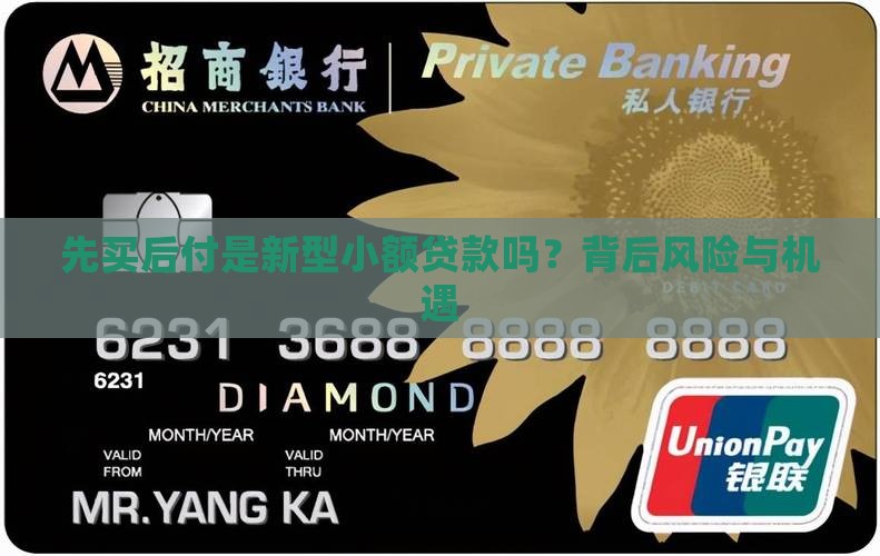 先买后付是新型小额贷款吗？背后风险与机遇