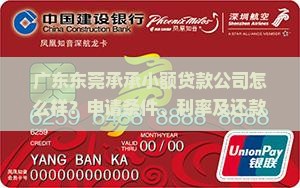 广东东莞承承小额贷款公司怎么样？申请条件、利率及还款方式详解